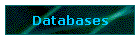 Databases